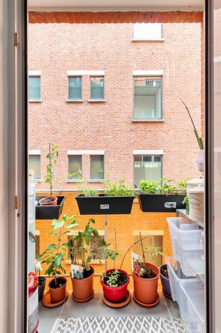 European Heart 2-Bedroom Flat. Bruxelles Eksteriør billede